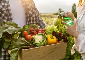 O programa de compra de alimentos receberá investimentos adicionais para impulsionar a agricultura familiar