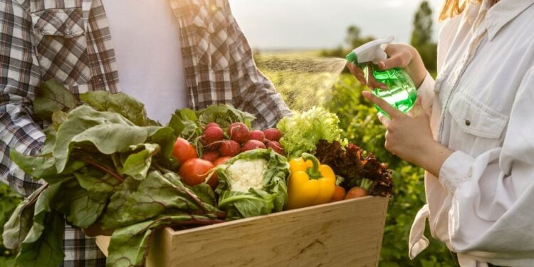O programa de compra de alimentos receberá investimentos adicionais para impulsionar a agricultura familiar