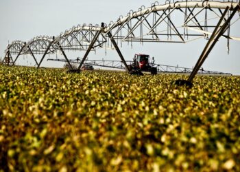 O crescimento de 6,67% do PIB do Ceará é impulsionado pelo setor agrícola e industrial, superando a média nacional