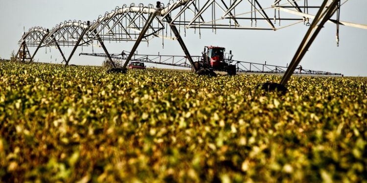 O crescimento de 6,67% do PIB do Ceará é impulsionado pelo setor agrícola e industrial, superando a média nacional