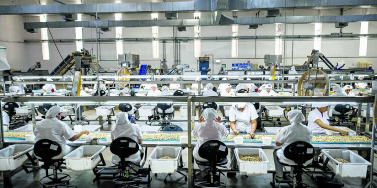 Em 2024, o Ceará registrou um saldo de mais de 62 mil empregos