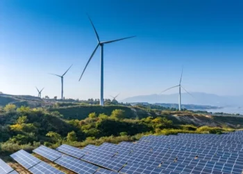 Preservação de energia: componente crucial para o crescimento da energia limpa