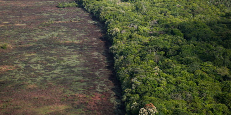 MMA e BNDES anunciam o lançamento dos primeiros editais para a revitalização da Amazônia