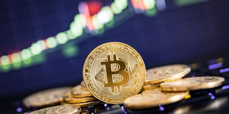 Bitcoin (BTC) e as small caps: ETFs que pagam dividendos mensais são lançados na bolsa de valores brasileira