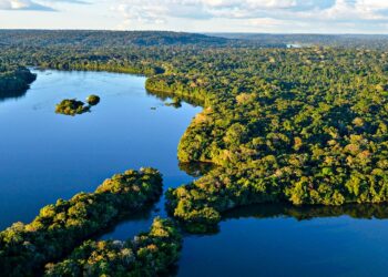 Meta procura iniciativas com impacto positivo na Amazônia e o prêmio pode ultrapassar R$ 250 mil