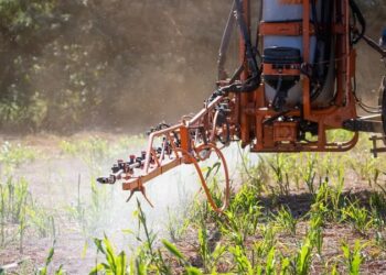 O Itaú BBA prevê que os investimentos na indústria de esmagamento de soja alcancem R$ 11,3 bilhões entre 2025 e 2027