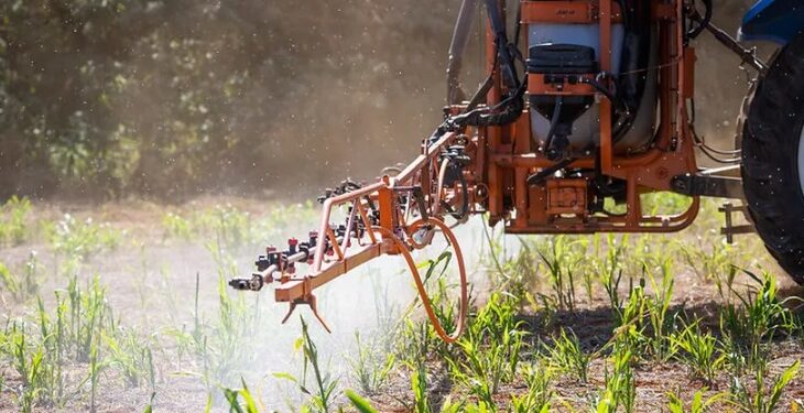 O Itaú BBA prevê que os investimentos na indústria de esmagamento de soja alcancem R$ 11,3 bilhões entre 2025 e 2027