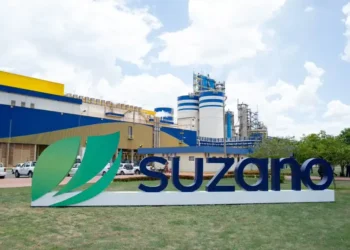 Suzano (SUZA3) confirma um aumento global nos custos da celulose a partir de 2025