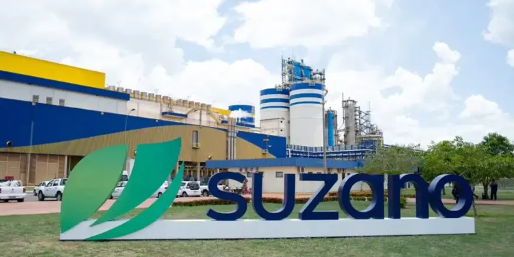 Suzano (SUZA3) confirma um aumento global nos custos da celulose a partir de 2025