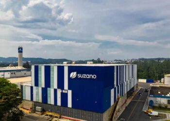 Suzano (SUZB3) confirma a tese de que os investimentos na celulose são líderes; confira as percepções do Investor Day