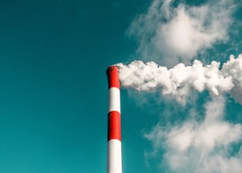 Dificuldades e perspectivas para a implementação do mercado de carbono regulado no Brasil