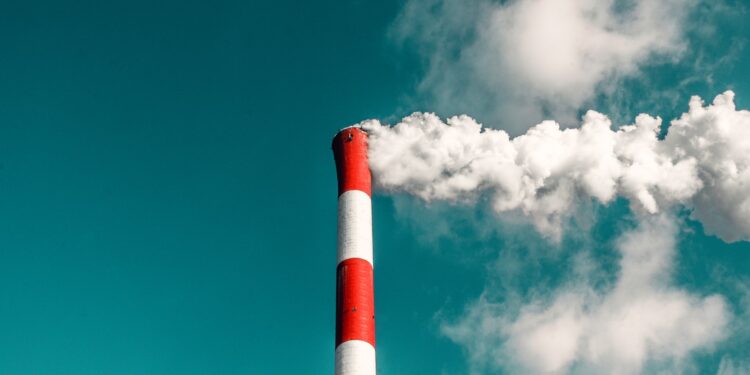 Dificuldades e perspectivas para a implementação do mercado de carbono regulado no Brasil