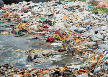 Plastic Bank emprega blockchain para a reciclagem, gerando R$ 2,5 milhões em renda para catadores brasileiros