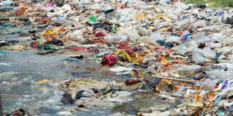 Plastic Bank emprega blockchain para a reciclagem, gerando R$ 2,5 milhões em renda para catadores brasileiros
