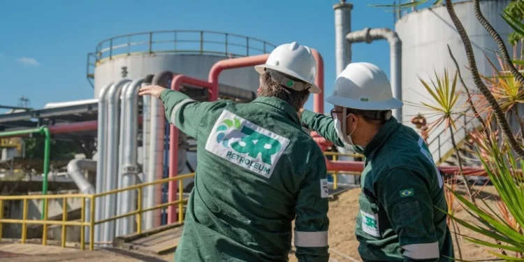 Naturgy destina R$ 300 milhões à expansão do projeto de corredores sustentáveis