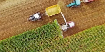 Com a supersafra no Brasil, o preço dos grãos pode diminuir, mas as carnes devem ter um aumento este ano