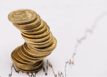 SNLG11 distribui dividendos com retorno mensal superior a 1%; confira o montante
