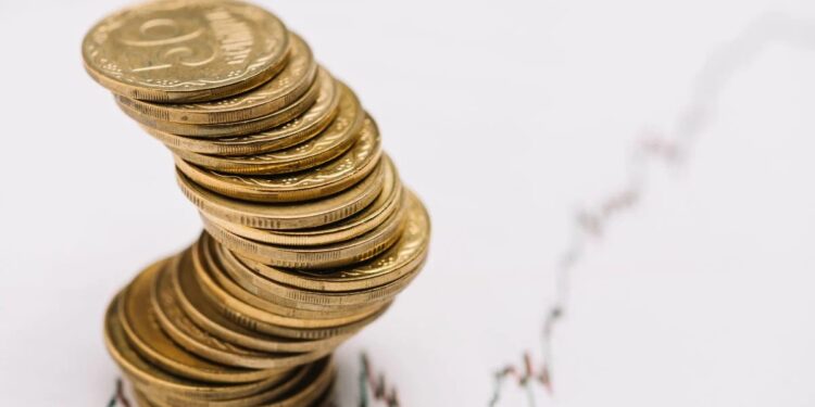 SNLG11 distribui dividendos com retorno mensal superior a 1%; confira o montante