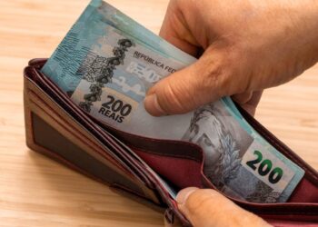 ALZR11 anuncia novos pagamentos em janeiro; confira o montante