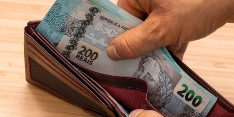 ALZR11 anuncia novos pagamentos em janeiro; confira o montante