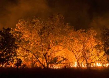 Em 17 anos, a Amazônia Legal registrou o maior número de incêndios