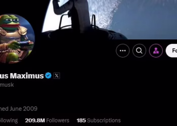 Musk gera debates no universo cripto após alterar seu nome para “Kekius Maximus” no X