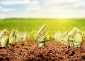 Fiagro anuncia a comercialização de 20 conjuntos de fazendas pelo valor de R$ 468 milhões