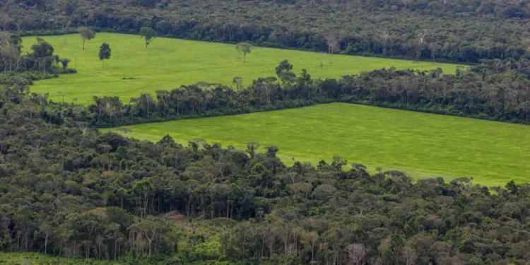 Projeto de lei ambiental aprovado no Mato Grosso pode alterar as fronteiras entre a Amazônia e o Cerrado