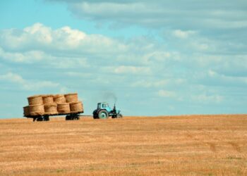 OIAG11: Fiagro alcança um lucro superior a R$ 1 milhão, expande a reserva e detalha operações