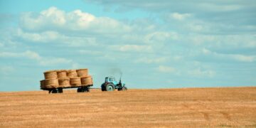 OIAG11: Fiagro alcança um lucro superior a R$ 1 milhão, expande a reserva e detalha operações