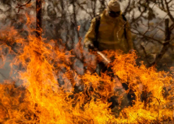 Em cinco anos, o Brasil registrou 1 milhão de focos de incêndio