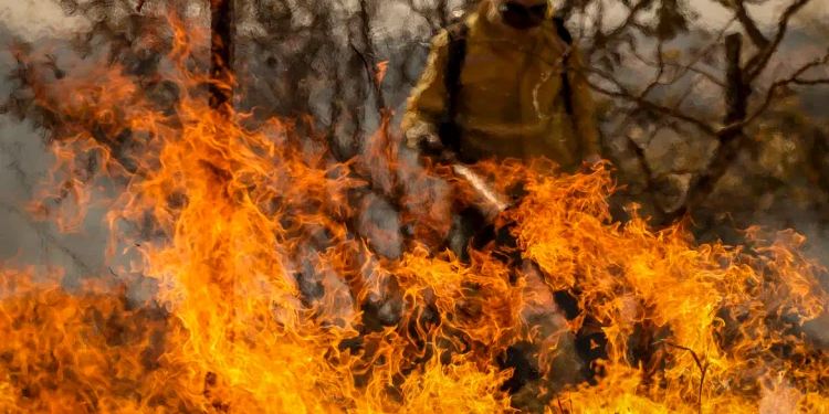 Em cinco anos, o Brasil registrou 1 milhão de focos de incêndio