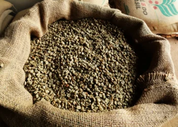 Brasil perde 469 milhões de dólares com o atraso nas exportações de café até novembro, segundo o Cecafé