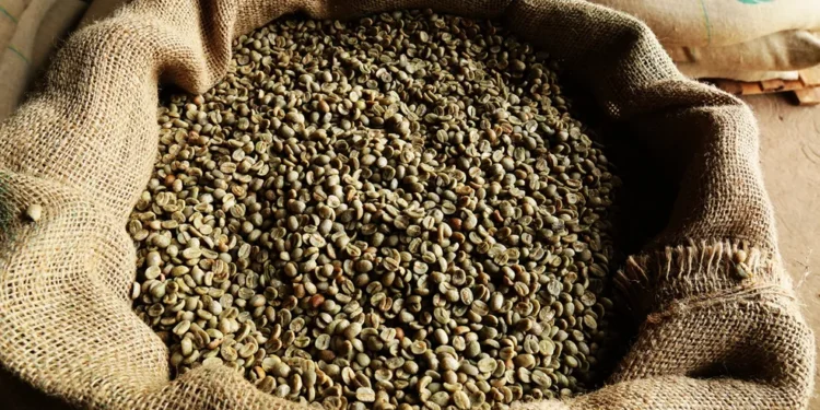 Brasil perde 469 milhões de dólares com o atraso nas exportações de café até novembro, segundo o Cecafé