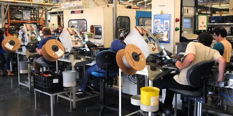 No Ceará, houve um aumento de 6% na criação de empresas em 2024