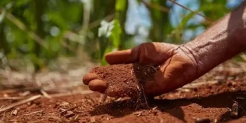 O investimento na agricultura contribui para lidar com as alterações climáticas, segundo Davos
