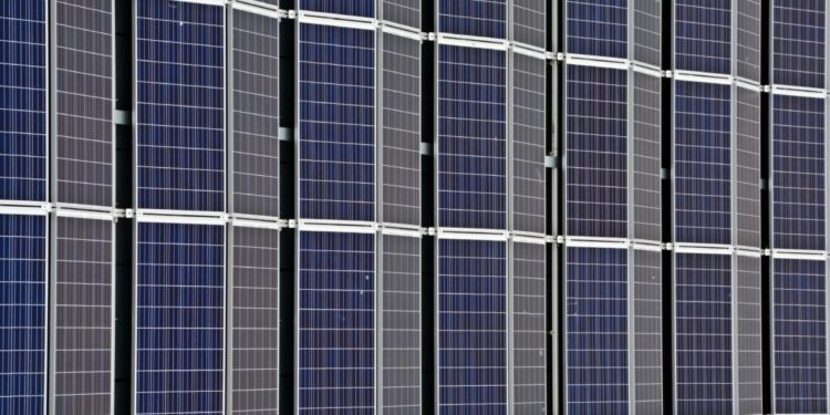 Fundos de investimento imobiliário mais lucrativos de 2024: SNLG11 e SNEL11 lideram a lista