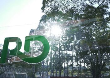 RD Saúde adquire créditos de reciclagem da Papirus em uma parceria inovadora no ramo do papel