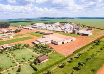 A tática da SLC Agrícola para alcançar 99% de reciclagem nas propriedades rurais