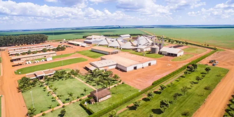 A tática da SLC Agrícola para alcançar 99% de reciclagem nas propriedades rurais