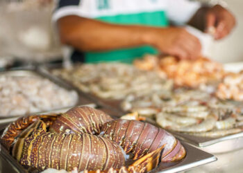 Ceará pretende retomar as exportações de pescado para a Europa através do Reino Unido