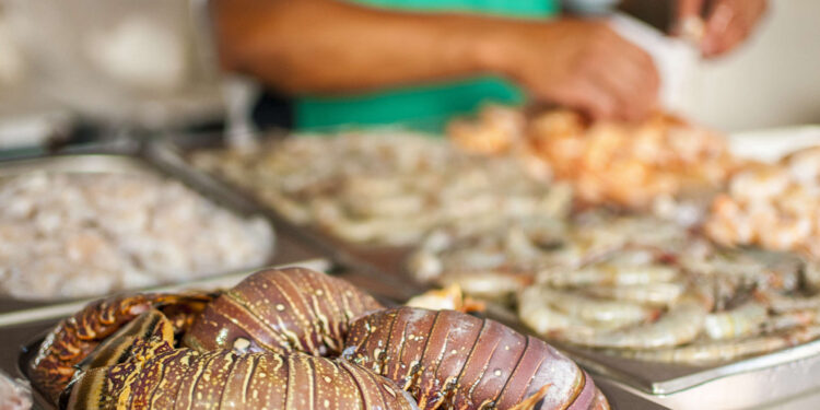Ceará pretende retomar as exportações de pescado para a Europa através do Reino Unido