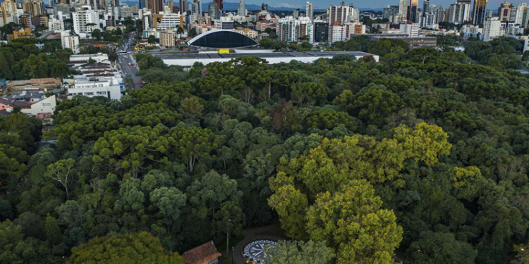 O programa da ONU voltado para o meio ambiente vai estimular os negócios em São Paulo e Curitiba