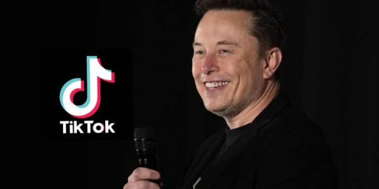 Elon Musk afirma que não tem intenção de adquirir o TikTok