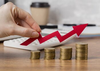 XPCA11: Fiagro registra lucro de R$ 3,41 milhões e distribui os maiores dividendos dos últimos cinco meses