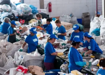 Uma startup do Nordeste gerou R$ 4,4 milhões em recursos para catadores e cooperativas que trabalham com economia circular