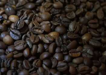 Abic recomenda que os consumidores verifiquem as informações da embalagem para distinguir o café genuíno do café falsificado. (Foto: Dimas Ardian/Bloomberg)