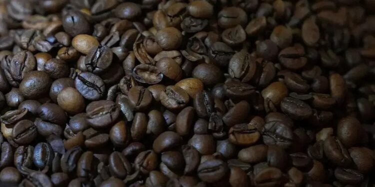 Abic recomenda que os consumidores verifiquem as informações da embalagem para distinguir o café genuíno do café falsificado. (Foto: Dimas Ardian/Bloomberg)