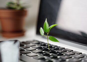 A economia verde deve impulsionar o crescimento do PIB em 430 bilhões de dólares, segundo um estudo