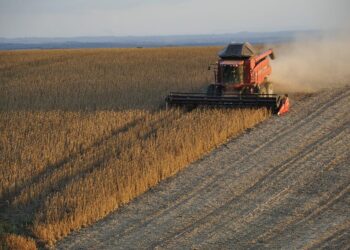BTRA11 divulga dividendos com rendimento anual de 7,87%; confira o montante